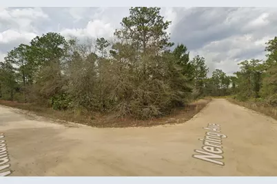 Tbd Wallace Street, Interlachen, FL 32148 - Photo 1