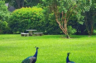 7705 Forest Green Ln, Boynton Beach, FL 33436 - Photo 50