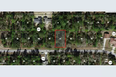 3059 W Eunice Drive, Dunnellon, FL 34433 - Photo 4