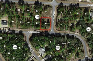1975 W Shellbark Dr, Dunnellon, FL 34434 - Photo 1