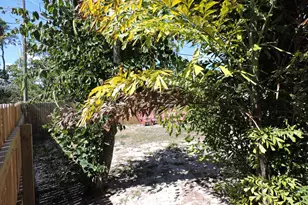 9046 SE Parkway Dr, Hobe Sound, FL 33455 - Photo 12