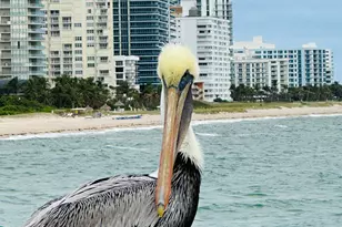 750 N Ocean Blvd, Pompano Beach, FL 33062 - Photo 48