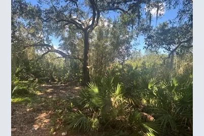 1211 Mayfair Street, Lake Placid, FL 33852 - Photo 2