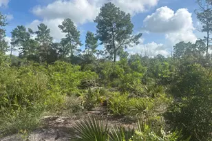 284 Rhapsody Ave, Lake Placid, FL 33852 - Photo 1