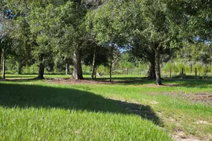 17018 NW 260th St, Okeechobee, FL 34972 - Photo 40