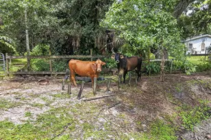15182 Steffen Ln, Loxahatchee Groves, FL 33470 - Photo 74