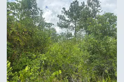 0 Salyers Road, Groveland, FL 34736 - Photo 2