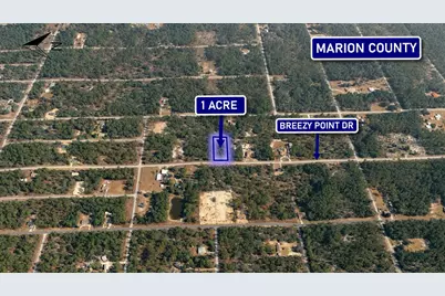 0000 Breezy Point Drive, Dunnellon, FL 34431 - Photo 2
