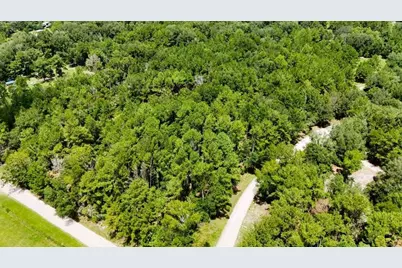 0 160th Terrace, Mc Alpin, FL 32062 - Photo 18