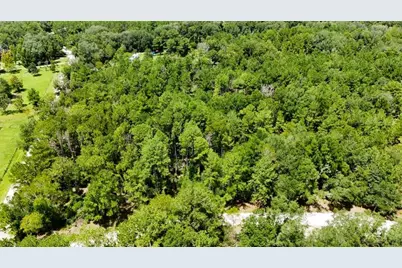 0 160th Terrace, Mc Alpin, FL 32062 - Photo 12