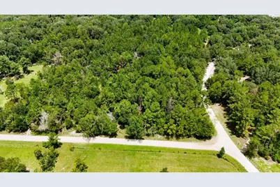 0 160th Terrace, Mc Alpin, FL 32062 - Photo 20