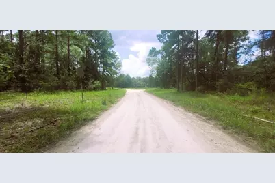 0 160th Terrace, Mc Alpin, FL 32062 - Photo 22
