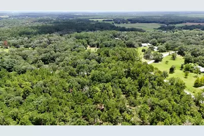 0 160th Terrace, Mc Alpin, FL 32062 - Photo 16