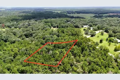 0 160th Terrace, Mc Alpin, FL 32062 - Photo 6