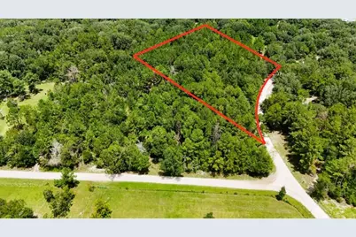 0 160th Terrace, Mc Alpin, FL 32062 - Photo 4