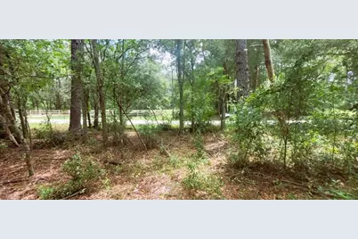 0 160th Terrace, Mc Alpin, FL 32062 - Photo 10