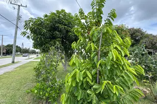 1001 Sunrise Blvd, Fort Pierce, FL 34950 - Photo 16