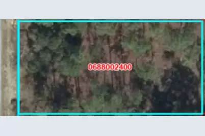 000 SE 134th Court, Dunnellon, FL 32621 - Photo 2