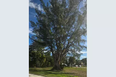 309 NW 6th Avenue, Delray Beach, FL 33444 - Photo 14