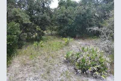 19096 NW 302nd Street, Okeechobee, FL 34972 - Photo 2
