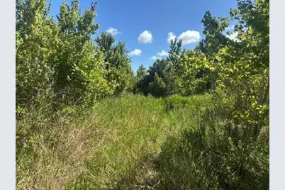 0 NW 312th Street, Okeechobee, FL 34972 - Photo 2