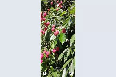 [Address not provided], Plantation, FL 33317 - Photo 38