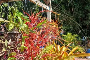 [Address not provided], Plantation, FL 33317 - Photo 42