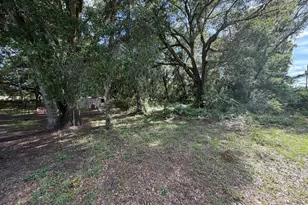 3920 E Allendale St, Inverness, FL 34453 - Photo 4