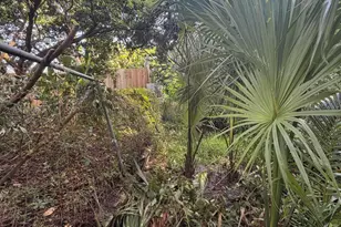 303 S Delaware Blvd, Jupiter, FL 33458 - Photo 60
