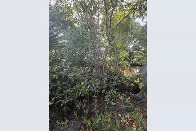 303 S Delaware Boulevard, Jupiter, FL 33458 - Photo 62