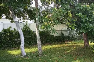 6761 NW 24th Ct, Margate, FL 33063 - Photo 16