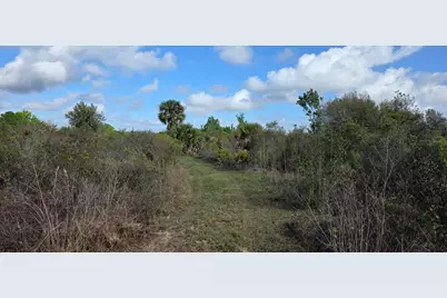16529 NW 264th Street, Okeechobee, FL 34972 - Photo 6