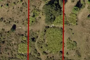 16529 NW 264th St, Okeechobee, FL 34972 - Photo 1