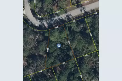 456 Bonnie Road NW, Lake Placid, FL 33852 - Photo 4