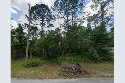 456 Bonnie Road NW, Lake Placid, FL 33852 - Photo 2