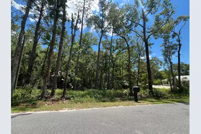 Tbd Franklin Drive, Crawfordville, FL 32327 - Photo 4