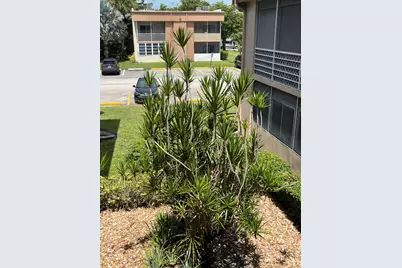 125 Piedmont C, Delray Beach, FL 33484 - Photo 44