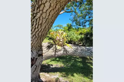 2950 SE Ocean Boulevard #134-5, Stuart, FL 34996 - Photo 50
