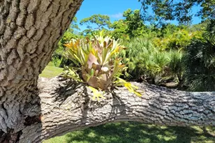 2950 SE Ocean Blvd, Stuart, FL 34996 - Photo 50