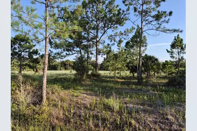 16810 NW 292nd Street, Okeechobee, FL 34972 - Photo 2