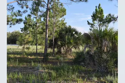 16810 NW 292nd Street, Okeechobee, FL 34972 - Photo 4