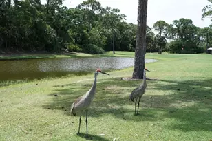 50 W Caribbean, Port Saint Lucie, FL 34952 - Photo 24