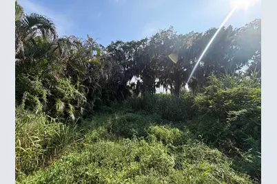 9825 U.S. 441, Okeechobee, FL 34974 - Photo 2
