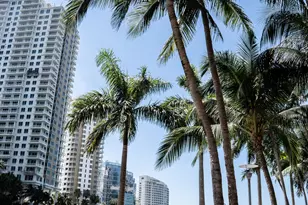 465 Brickell Ave, Miami, FL 33131 - Photo 74