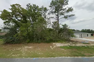 Tbd 151st St, Ocala, FL 34473 - Photo 1