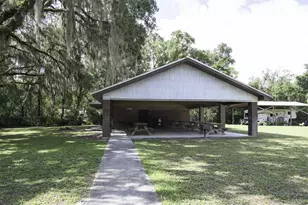 227 River View Dr, Old Town, FL 32680 - Photo 12