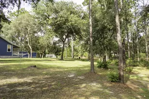 227 River View Dr, Old Town, FL 32680 - Photo 2