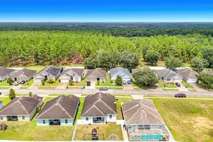 31018 Satinleaf Run, Brooksville, FL 34602 - Photo 14