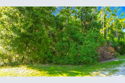7824 W Ox Eye Place, Homosassa, FL 34448 - Photo 4