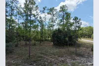 1600 E 15th Street, Lehigh Acres, FL 33972 - Photo 4